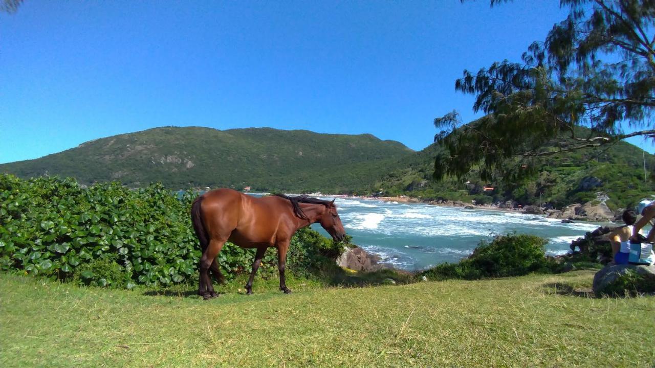 Chalé Praia da Armação Florianópolis Exterior foto